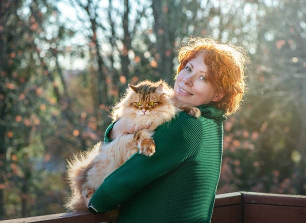 Siberian cat personality